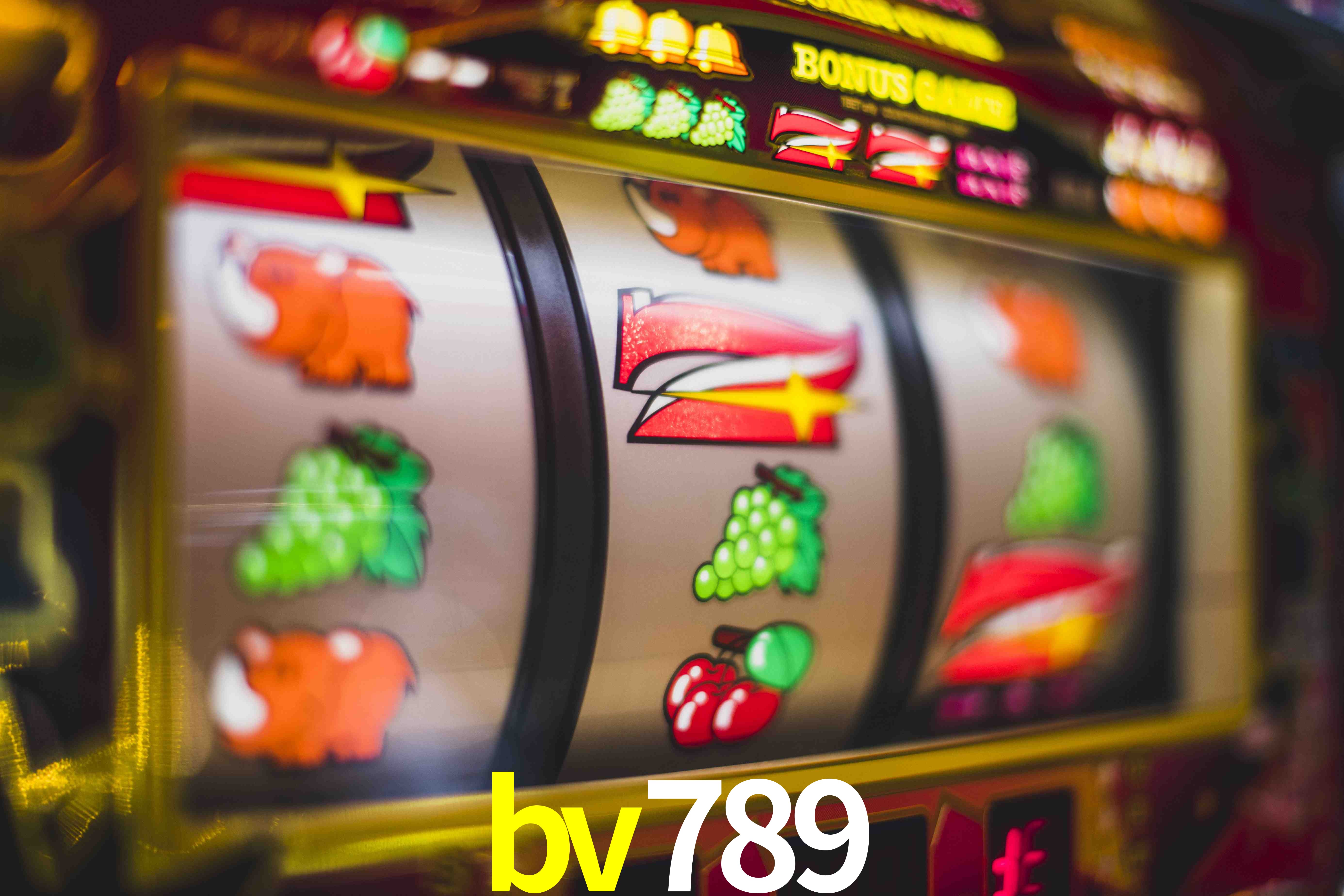 Basketball Betting bv789